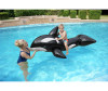  Bestway  -     203102  - Bestway  -     203102 