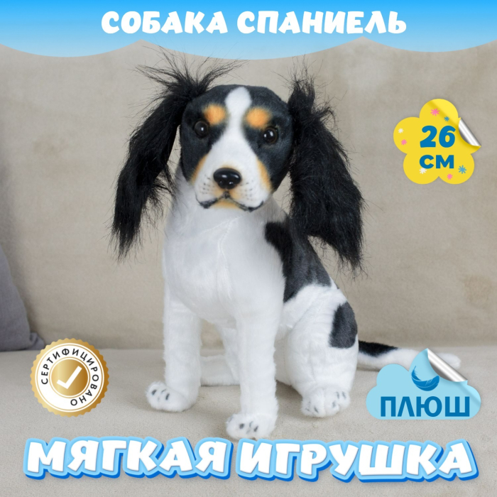   KiDWoW   392969161