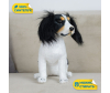   KiDWoW   392969161 - INF_LW602619908BK_1-1698770820