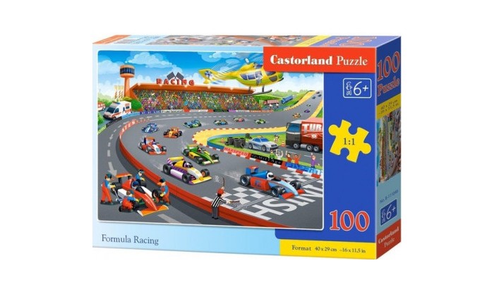  Castorland Puzzle  (100 )