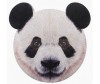  Happy Baby  Art home party Panda: , , , , ,  - Happy Baby  Art home party Panda: , , , , , 
