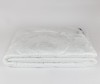  German Grass  Silk Familie Bio 220160 - German Grass  Silk Familie Bio 220160