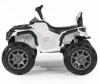  Jiajia  Grizzly ATV    - Jiajia  Grizzly