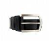  Wild Bear  RM-007m - Wild Bear  RM-007m