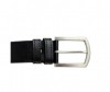  Wild Bear  RM-007m - Wild Bear  RM-007m