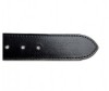  Wild Bear  RM-007m - Wild Bear  RM-007m
