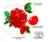  Bondibon  3D     44  - Bondibon  3D     44 